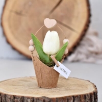 Mamáknak ajándék - ECO kaspó tulipánnal