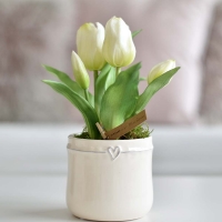Tulipán krém színű, szíves kaspóban
